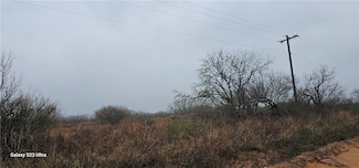 00 County Road 263, Realitos, TX 78376