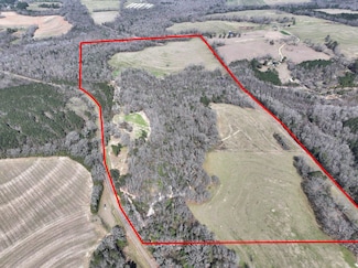 0 County Road 3336, Brundidge, AL 36010