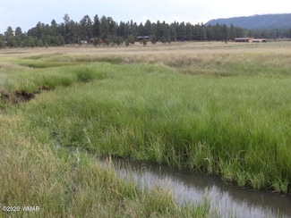 Lot 22A the Ranch at Alpine, Alpine, AZ 85920