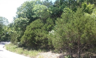 000 Cahill Rd, Branson, MO 65616