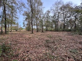 597 Salt Creek Way E, Brunswick, GA 31523