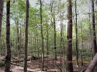 0 Garrison Rd Unit 6112650, Harrisville, NY 13648