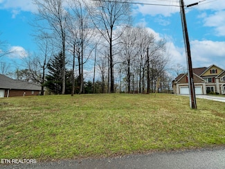 0 David Swann Dr Unit 1295773, Dandridge, TN 37725