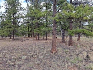 104 Chap Way, Hartsel, CO 80449