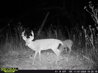 1200 Peg Garmon Rd, Burkesville, KY 42717