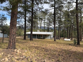 19 Wilson Ct, Cloudcroft, NM 88350