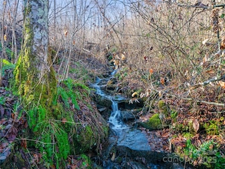 TBD Prices Creek Rd, Burnsville, NC 28714