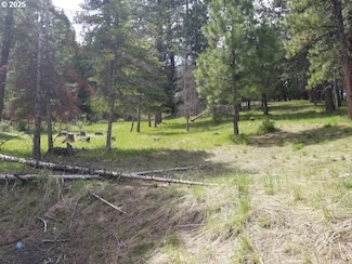 3300 Blake Ranch Rd, Heppner, OR 97836