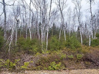 0 Wilderness Dr Unit 201832898, Presque Isle, MI 49777
