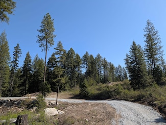 Xxx Veit Rd, Newport, WA 99156