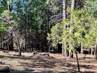 0 Park Woods Dr, Pollock Pines, CA 95726