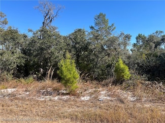 111 Dartmoor Ave, Lake Placid, FL 33852