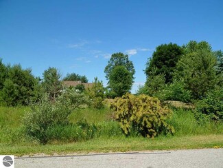 1002 Par Dr, Weidman, MI 48893