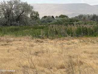 0 N Patricia Rd, Prosser, WA 99350