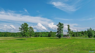 174 County Road 654, Mentone, AL 35984