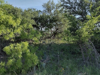 lots 53-54 Janda Ln, Brownwood, TX 76801