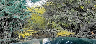 2007 Delta Downs Dr, Vinton, LA 70668