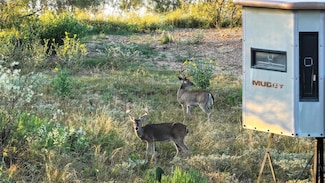 392 County Road 230, San Saba, TX 76877