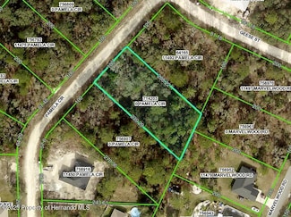 0 Pamela Cir Unit 2251310, Weeki Wachee, FL 34614