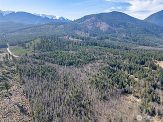 0 Deer Park Lot 1 Rd Unit NWM2345819, Port Angeles, WA 98362