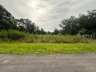 207 Starling Ct, Poinciana, FL 34759