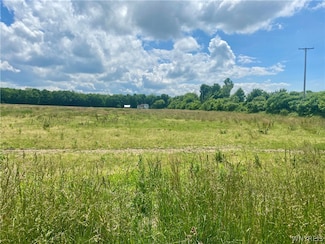 V/L Langford Rd, North Collins, NY 14111