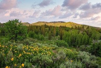 TBD Anglers Pond, Steamboat Springs, CO 80487