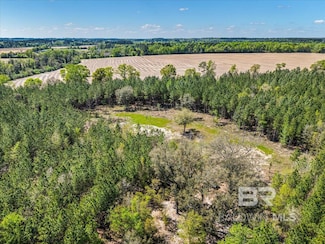 22544 Lechner Rd Unit 13, Robertsdale, AL 36567