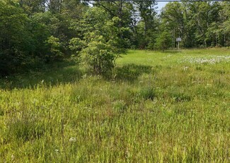 2717 Highway 10 NW, Baldwin, MI 49304