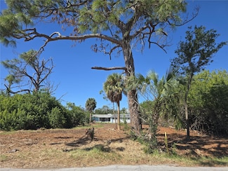 6313 Oelsner St, New Port Richey, FL 34652