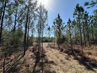 Tract#6416 Douglas Ferry Rd, Caryville, FL 32427
