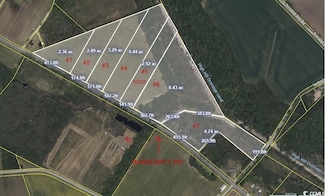 Tract 2 State Road S-21-881, Scranton, SC 29591