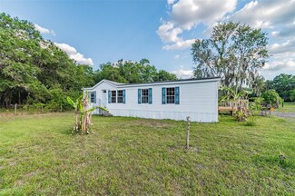 5049 Janes Dr, Wimauma, FL 33598