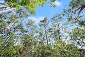 306 Hereford Dr, Conroe, TX 77304