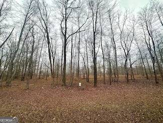Lot 65 Parks Ferry Dr, Greensboro, GA 30642