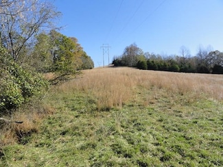 114 AC N Dixie Hwy, Bonnieville, KY 42713