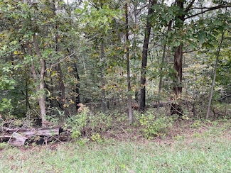 0 Ashburn Rd Unit Lot 6 11576179, Christmas Lake, IN 47579