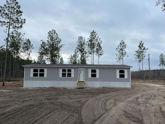 3557 Antioch Church Rd, Eastman, GA 31023