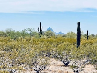 XX E Vista Grande Ln, Marana, AZ 85658