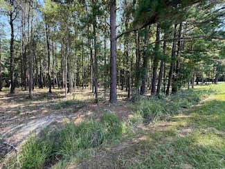 Lot 3 Highway 668, Conway, SC 29526