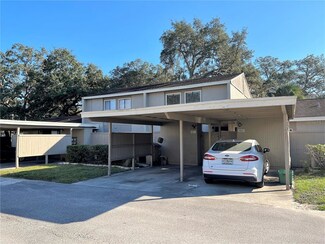 8623 Cattail Dr, Temple Terrace, FL 33637