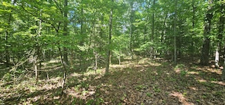 5044 County Road 104, Alton, MO 65606