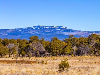 0 Nsn Forest Road 131 C Unit 22772204, Tierra Amarilla, NM 87551