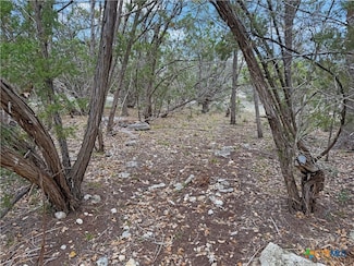 1084 Dog Leg Ln, Spring Branch, TX 78070