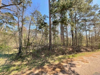TBD Ernest Dr, Marshall, TX 75670