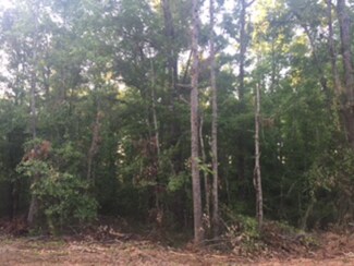 0 Craig Rd, Blythe, GA 30905