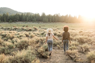 34300 Holcomb Valley Rd, Fawnskin, CA 92333