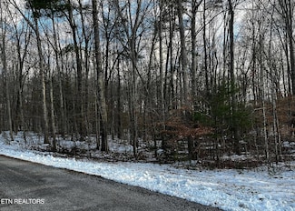 0 Lot 3 Evergreen Dr Unit 1310679, Oneida, TN 37841