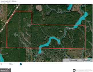 290 ACRES Georgia 121, Surrency, GA 31563