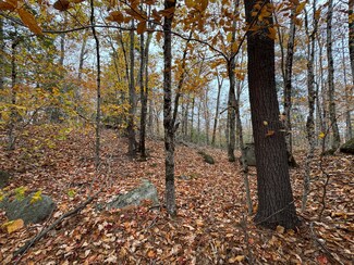 0 Cape Rd Unit 1642433, Raymond, ME 04071